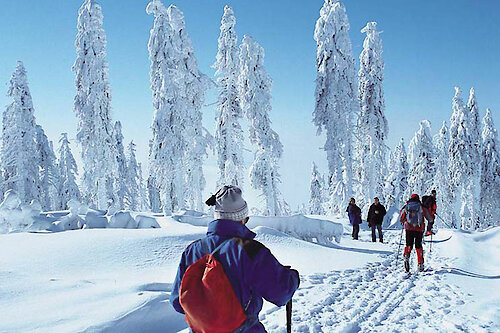 Langlauf im Bayerischen Wald